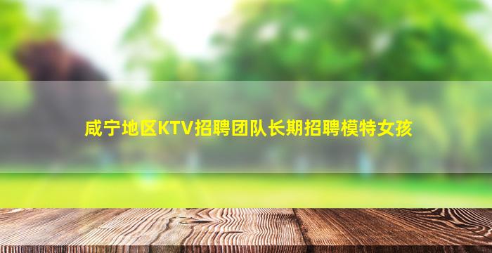 咸宁地区KTV招聘团队长期招聘模特女孩